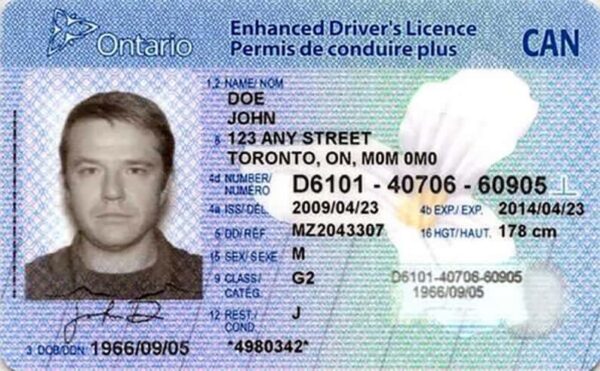 Fake Canadian Drivers License